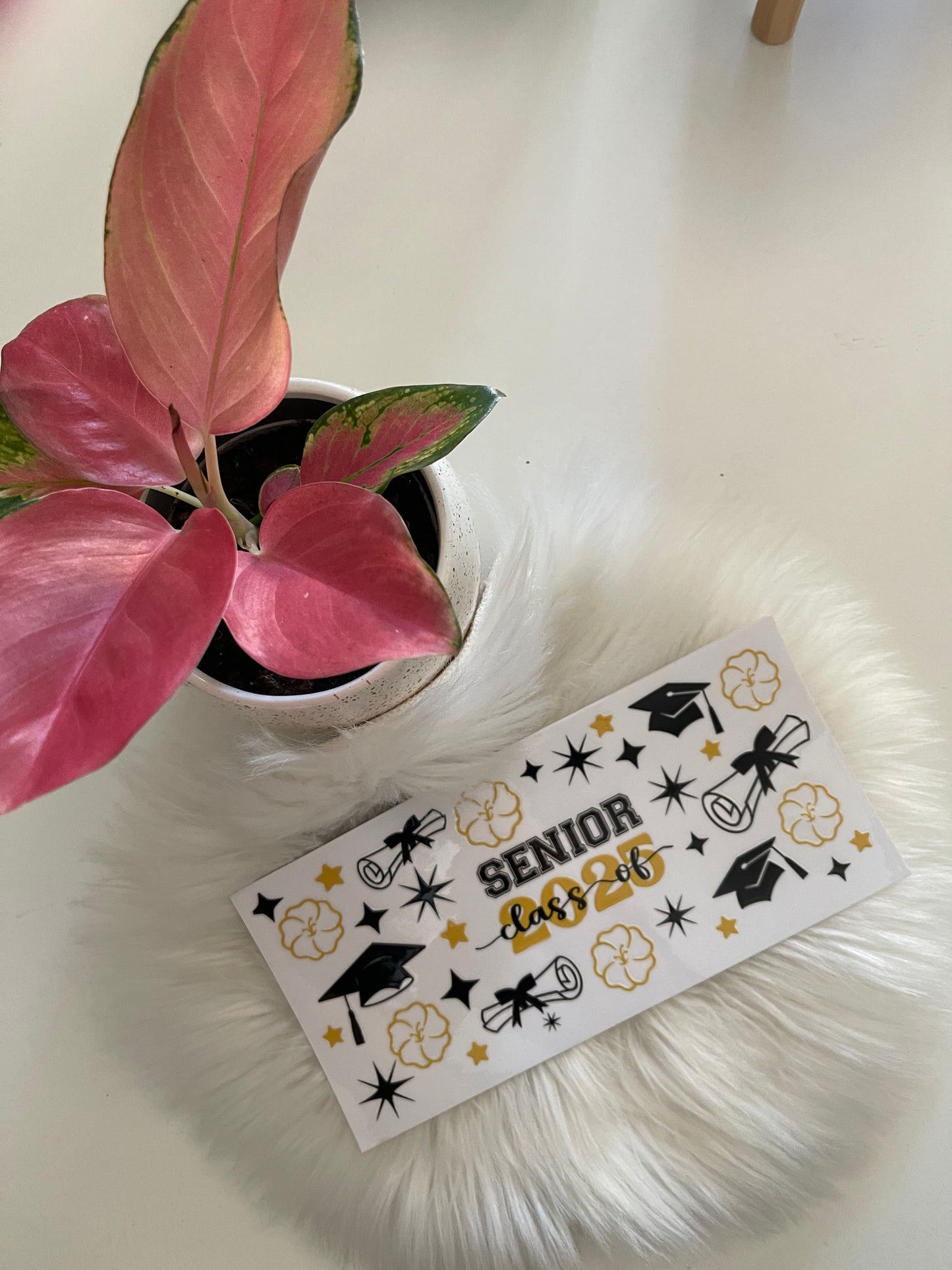 Senior class of 2025