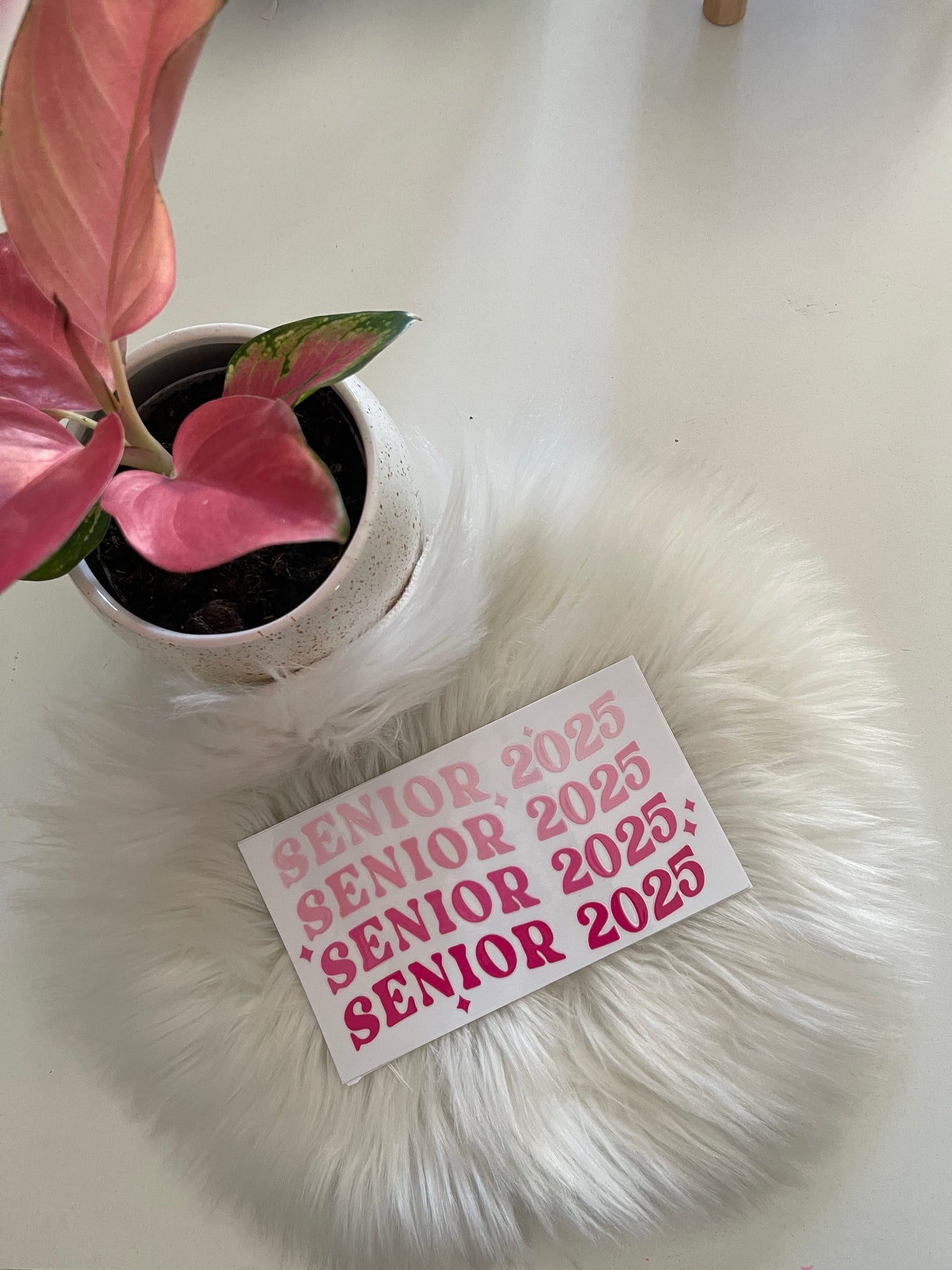Pink Senior 2025