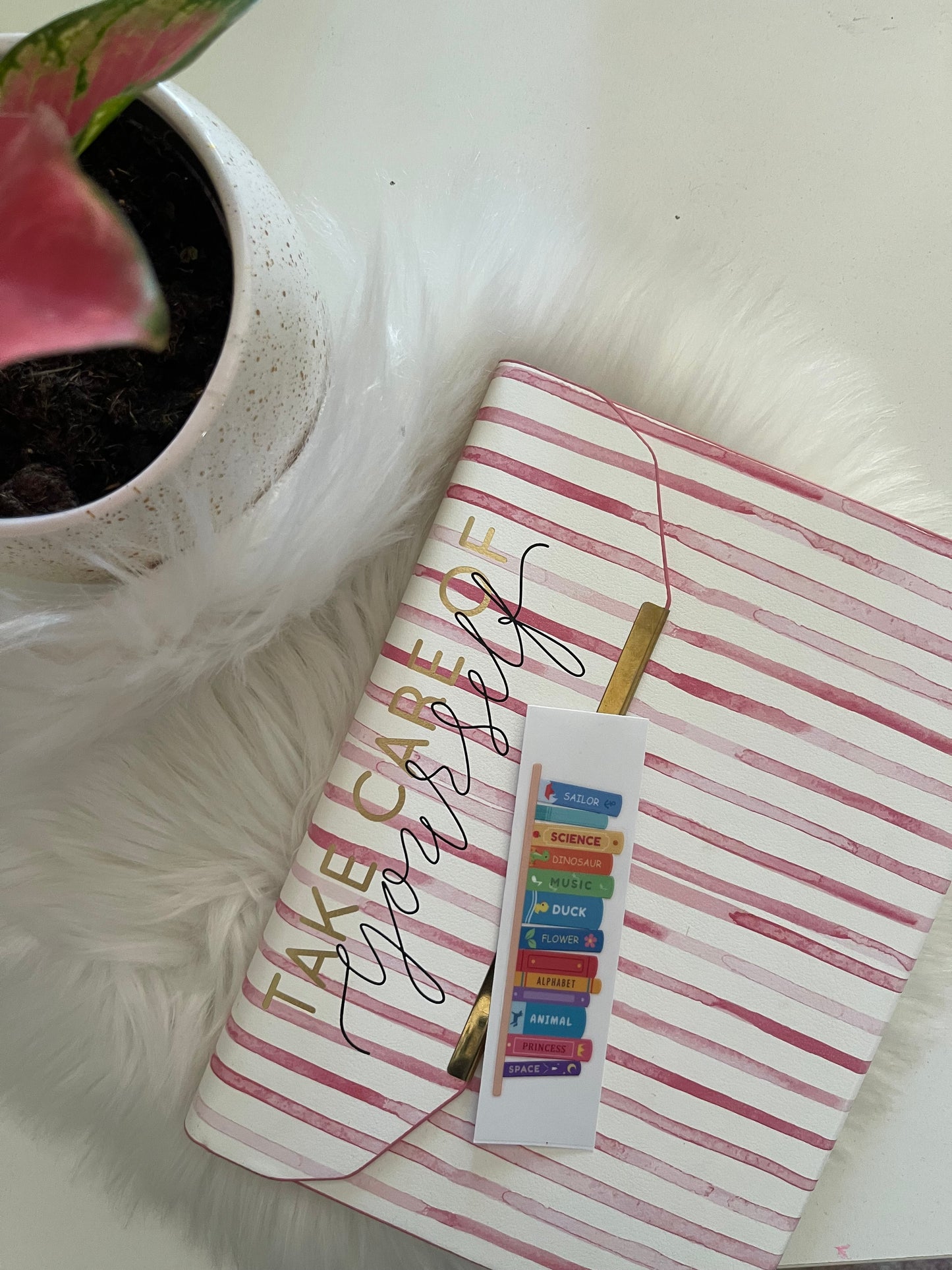 Books on the shelve wrap